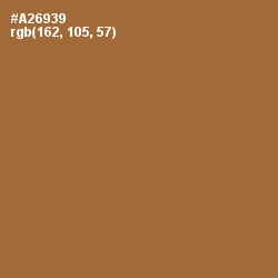 #A26939 - Copper Color Image