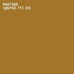 #A2752B - Copper Color Image