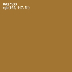 #A27533 - Copper Color Image
