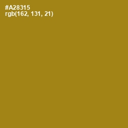 #A28315 - Hot Toddy Color Image