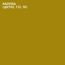 #A2850A - Hot Toddy Color Image