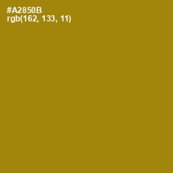 #A2850B - Hot Toddy Color Image