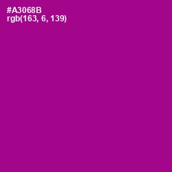 #A3068B - Violet Eggplant Color Image