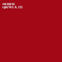 #A30816 - Bright Red Color Image