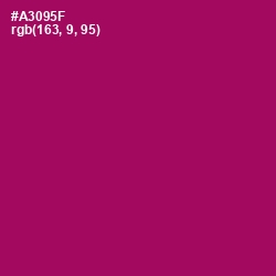 #A3095F - Jazzberry Jam Color Image