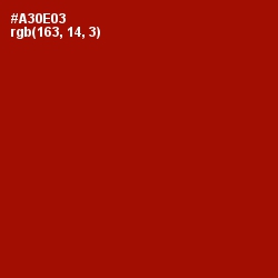 #A30E03 - Bright Red Color Image