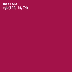 #A3134A - Jazzberry Jam Color Image