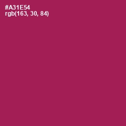 #A31E54 - Jazzberry Jam Color Image