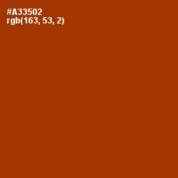 #A33502 - Tabasco Color Image