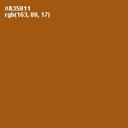 #A35811 - Rich Gold Color Image