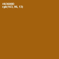 #A3600D - Reno Sand Color Image