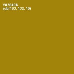 #A3840A - Hot Toddy Color Image