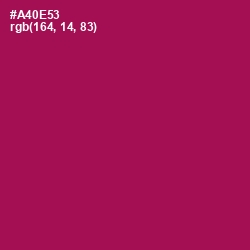 #A40E53 - Jazzberry Jam Color Image