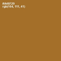#A46F29 - Desert Color Image