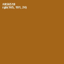 #A56518 - Reno Sand Color Image