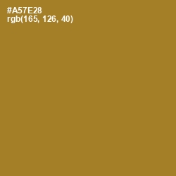 #A57E28 - Copper Color Image