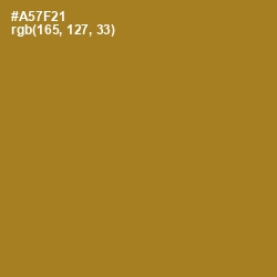 #A57F21 - Copper Color Image