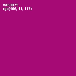 #A60B75 - Flirt Color Image