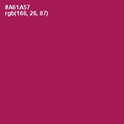 #A61A57 - Jazzberry Jam Color Image