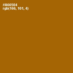 #A66504 - Mai Tai Color Image