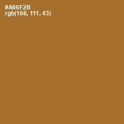 #A66F2B - Desert Color Image