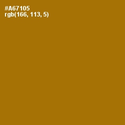 #A67105 - Buttered Rum Color Image