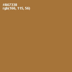 #A67338 - Copper Color Image