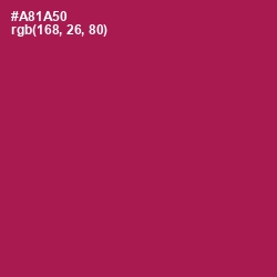 #A81A50 - Jazzberry Jam Color Image