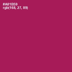 #A81B59 - Jazzberry Jam Color Image