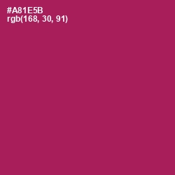 #A81E5B - Jazzberry Jam Color Image