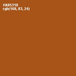 #A85318 - Fiery Orange Color Image