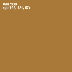 #A87939 - Copper Color Image