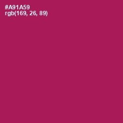 #A91A59 - Jazzberry Jam Color Image