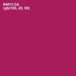 #A91C5A - Jazzberry Jam Color Image