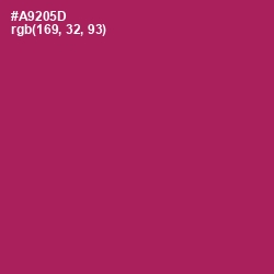 #A9205D - Night Shadz Color Image