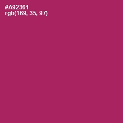 #A92361 - Hibiscus Color Image