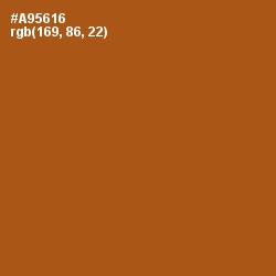 #A95616 - Fiery Orange Color Image