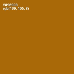 #A96908 - Mai Tai Color Image
