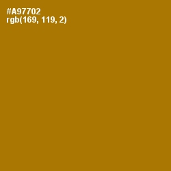 #A97702 - Buttered Rum Color Image