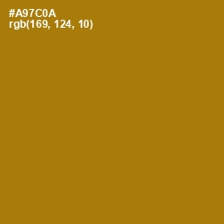 #A97C0A - Buttered Rum Color Image