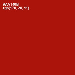 #AA140B - Milano Red Color Image