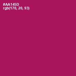 #AA145D - Jazzberry Jam Color Image