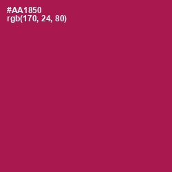 #AA1850 - Jazzberry Jam Color Image