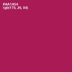 #AA1A54 - Jazzberry Jam Color Image