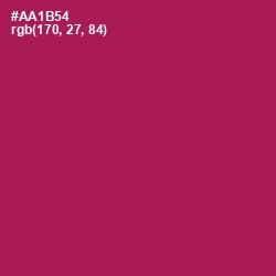 #AA1B54 - Jazzberry Jam Color Image