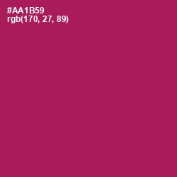 #AA1B59 - Jazzberry Jam Color Image