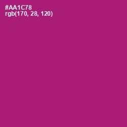 #AA1C78 - Flirt Color Image