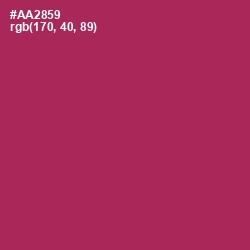 #AA2859 - Night Shadz Color Image
