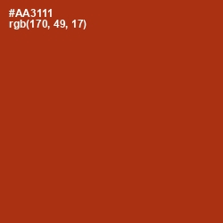 #AA3111 - Tabasco Color Image