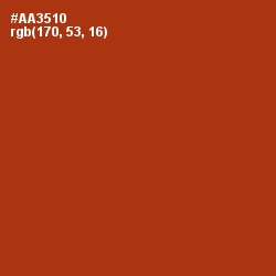 #AA3510 - Tabasco Color Image